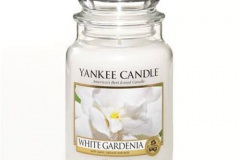 White-Gardenia